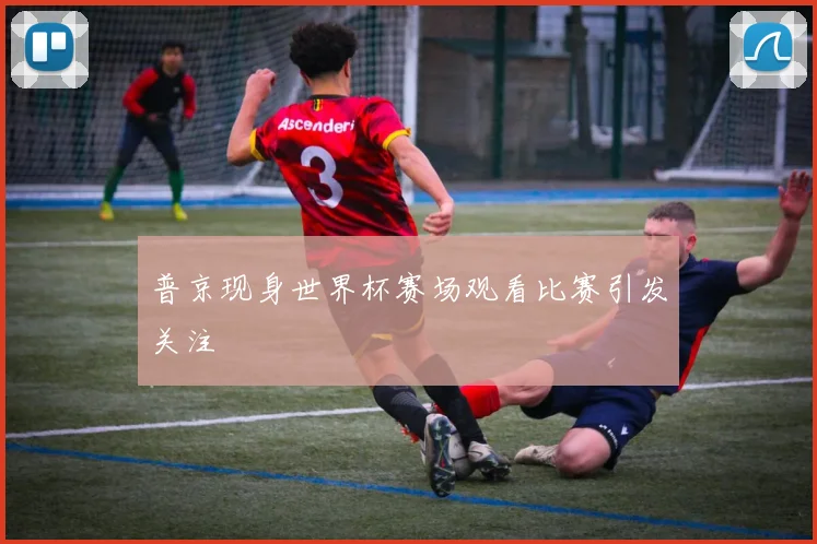 普京现身世界杯赛场观看比赛引发关注