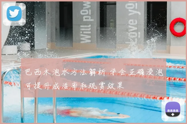 巴西木泡水方法解析 学会正确浸泡可提升成活率和观赏效果