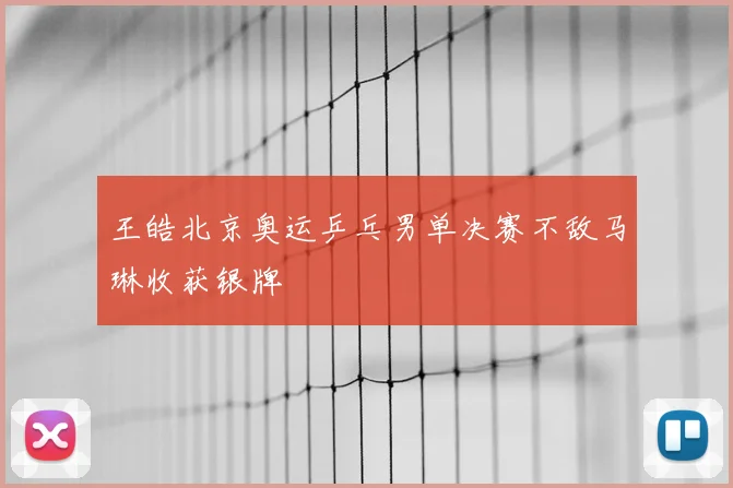 王皓北京奥运乒乓男单决赛不敌马琳收获银牌