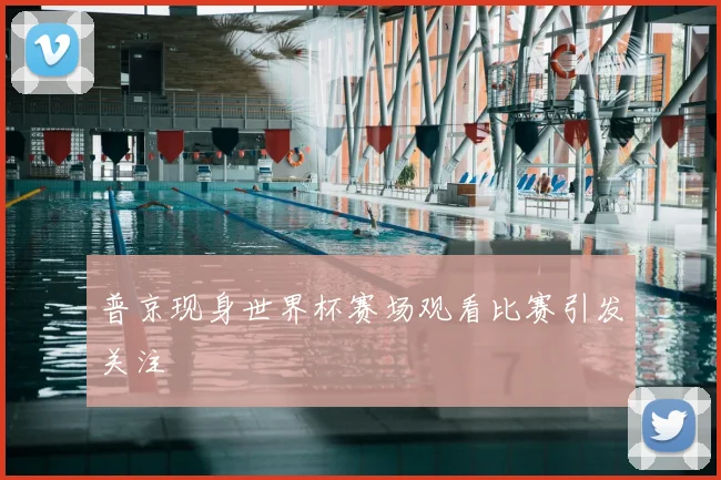 普京现身世界杯赛场观看比赛引发关注