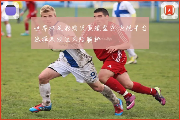 世界杯足彩购买渠道盘点 合规平台选择及投注风险解析