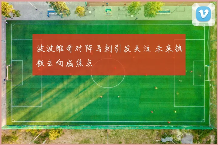 波波维奇对阵马刺引发关注 未来执教去向成焦点