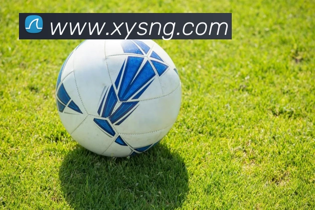 StarSky Sports平台生态图