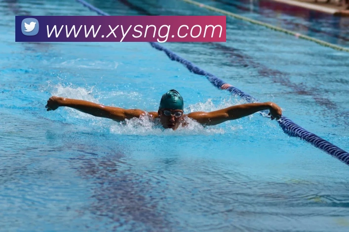 多媒体互动体验